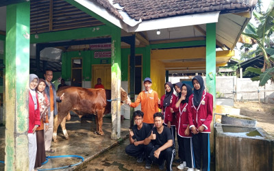 Penyembelihan Hewan qurban